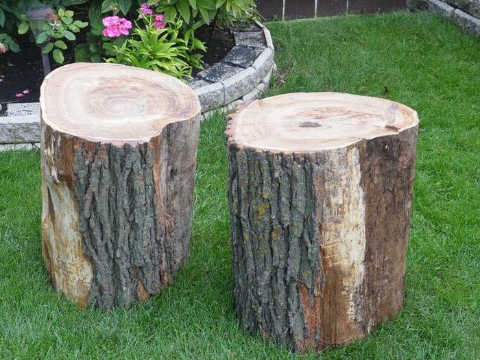 Wesleys Oak